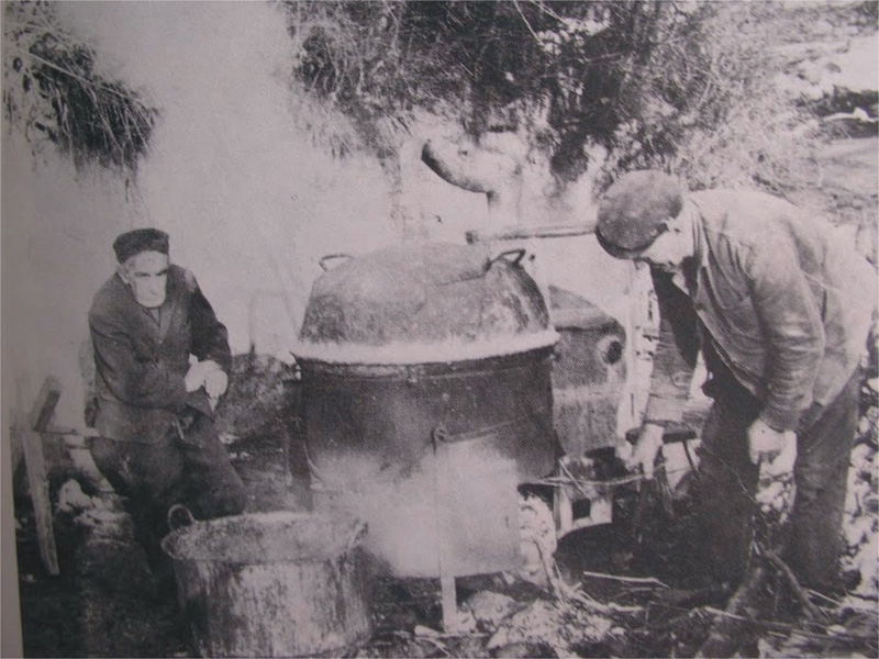 Omiljeno doba za srpske domaćine